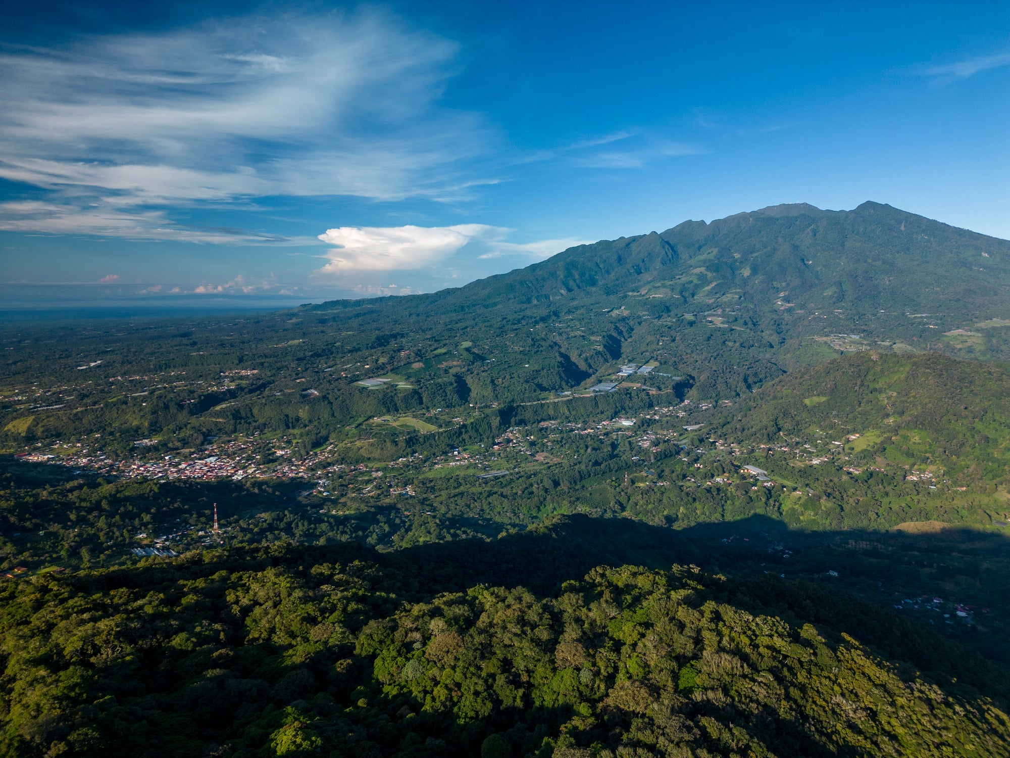 Best of Panama 2026: Celebrating the Heart of Panama’s Coffee Community
