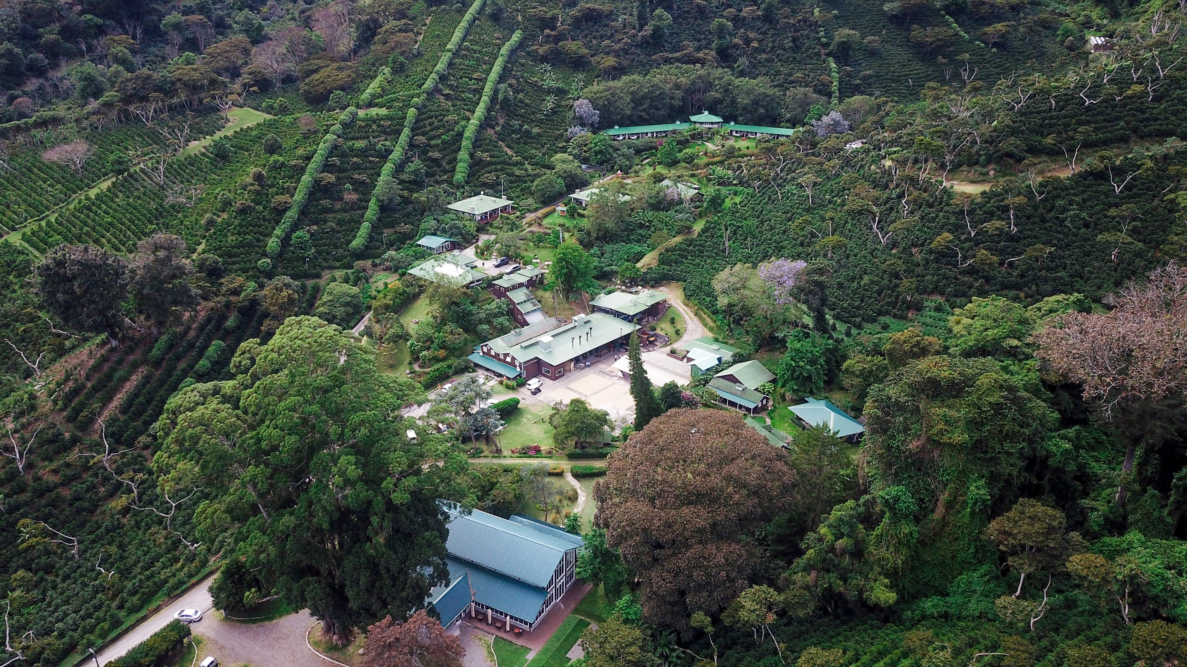 FINCA LERIDA GEISHA - DELUXE SINGLE BOX