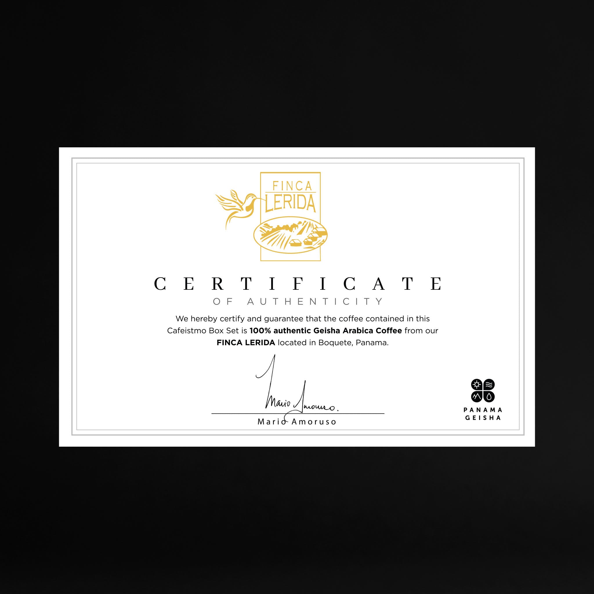 LERIDA GEISHA - DOUBLE DELUXE