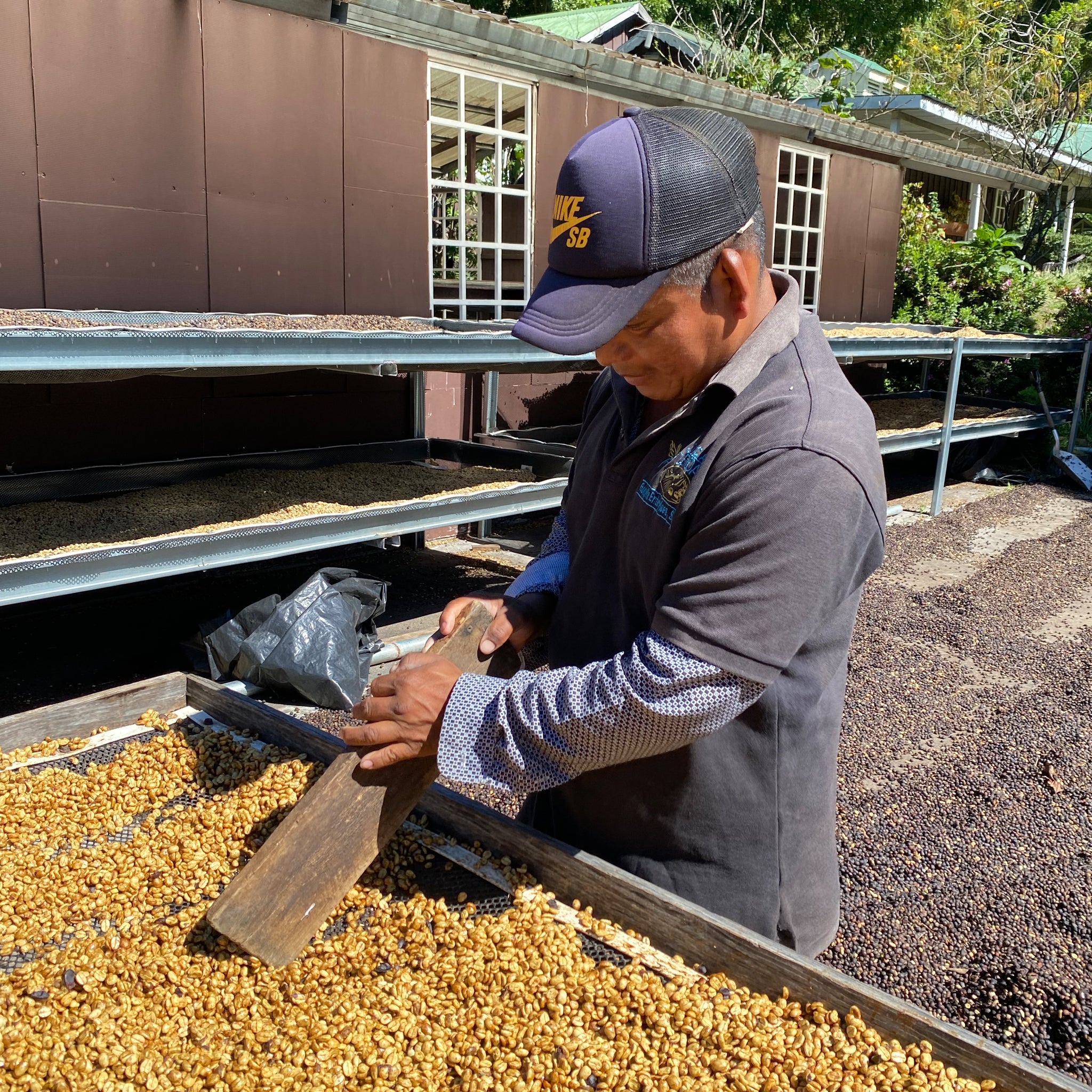 LERIDA GEISHA - DOUBLE DELUXE