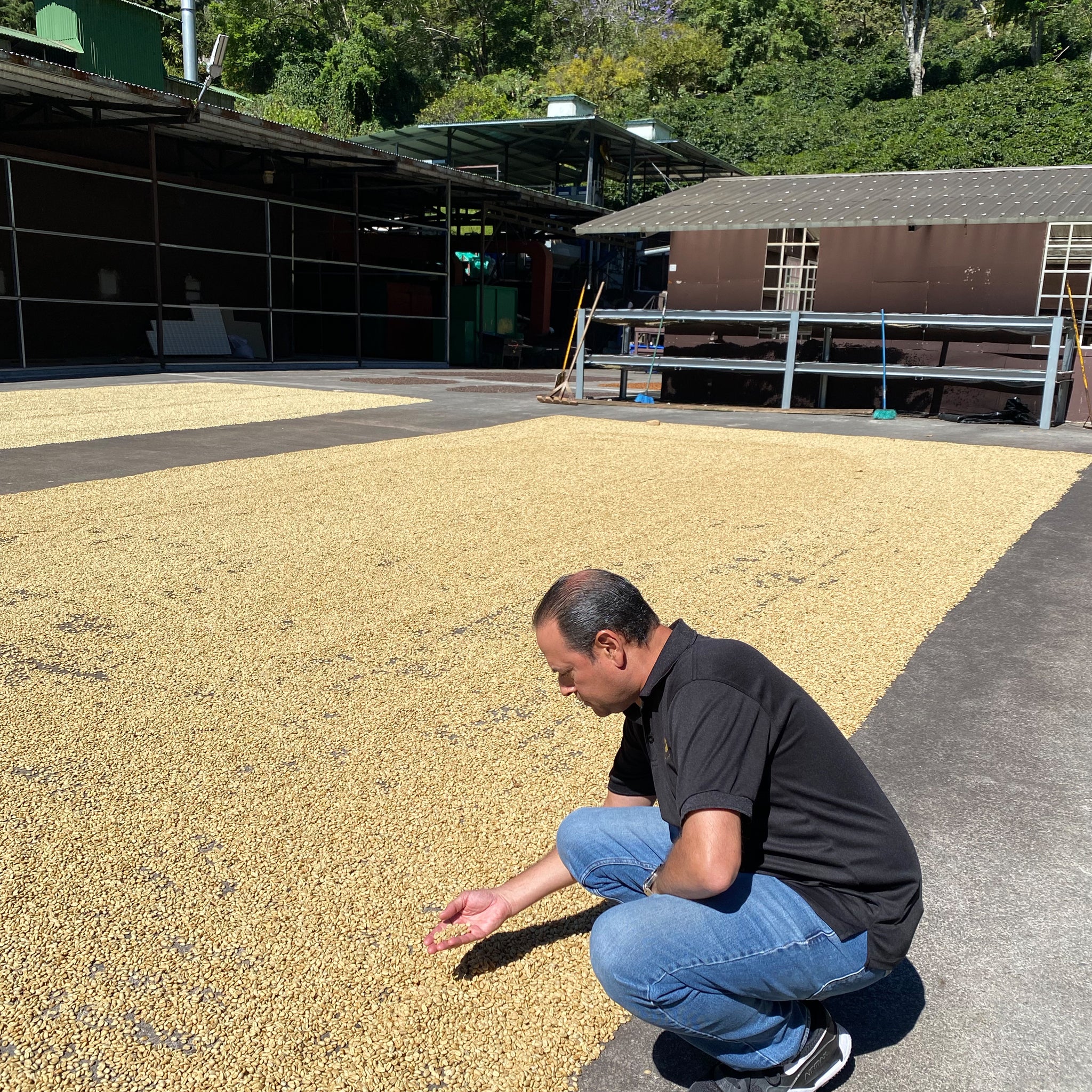 LERIDA GEISHA - DOUBLE DELUXE