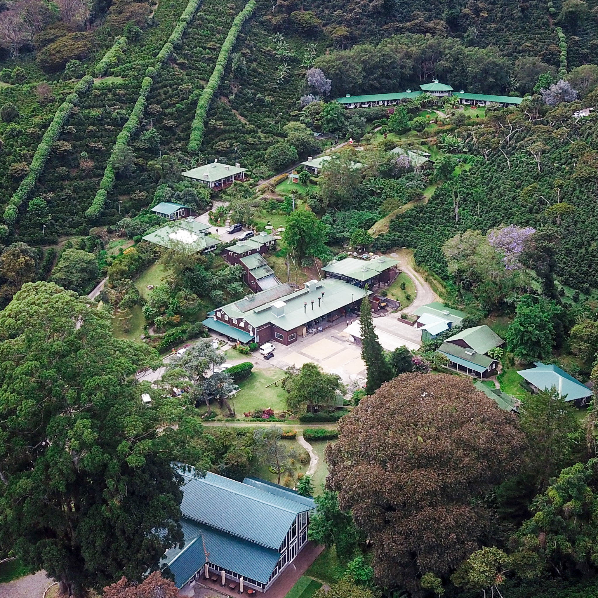 LERIDA GEISHA - DOUBLE DELUXE